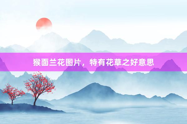 猴面兰花图片，特有花草之好意思