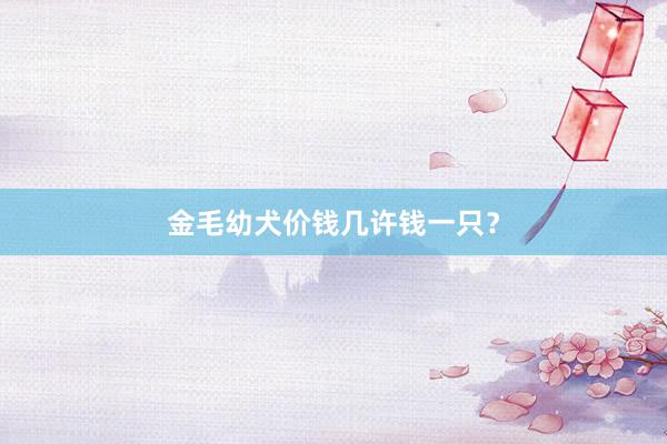 金毛幼犬价钱几许钱一只？